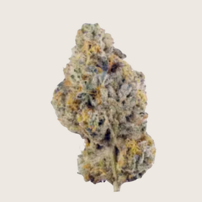 Smart Water Bottle with Hydration Tracking